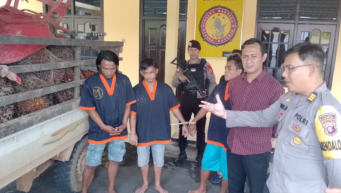 Polisi Amankan Terduga Pencuri Buah Sawit Perusahaan