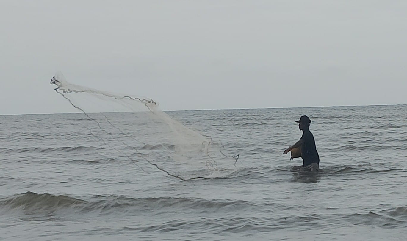 Melihat Lebih Dekat Warga Sungai Umbang Menjala Ikan, Seru!