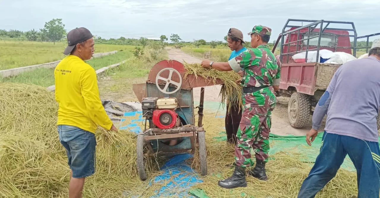 Babinsa Muahaeni Dukung Peningkatan Hasil Panen Petani Melalui Pendampingan
