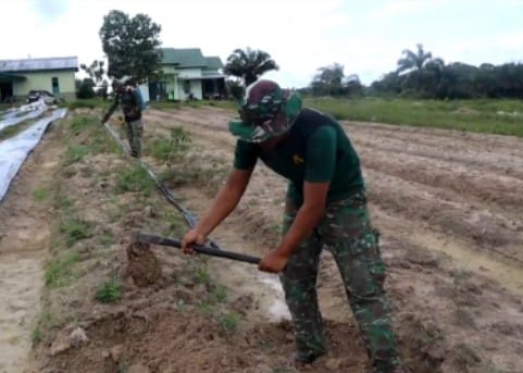 Jaga Ketahanan Pangan, Prajurit TNI di Lamandau Tanam Bibit Cabai Hingga Daun Bawang