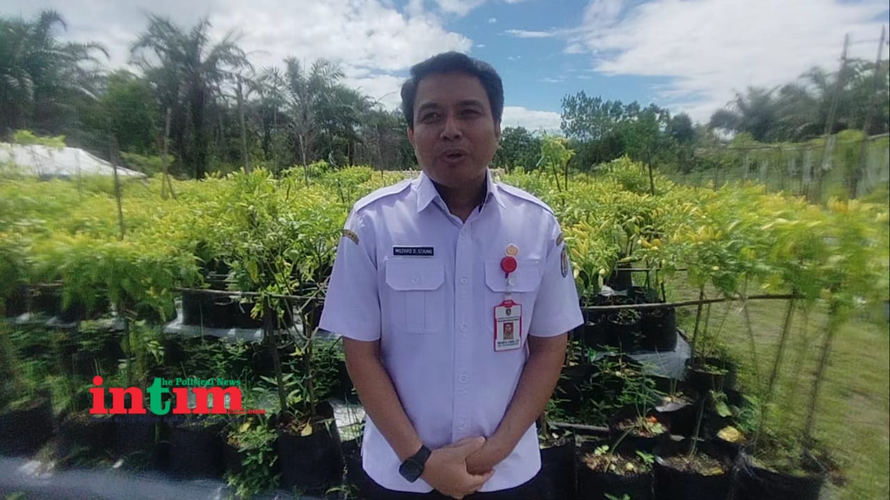Komoditi Cabai yang Termasuk Pengaruhi Inflasi  di Katingan