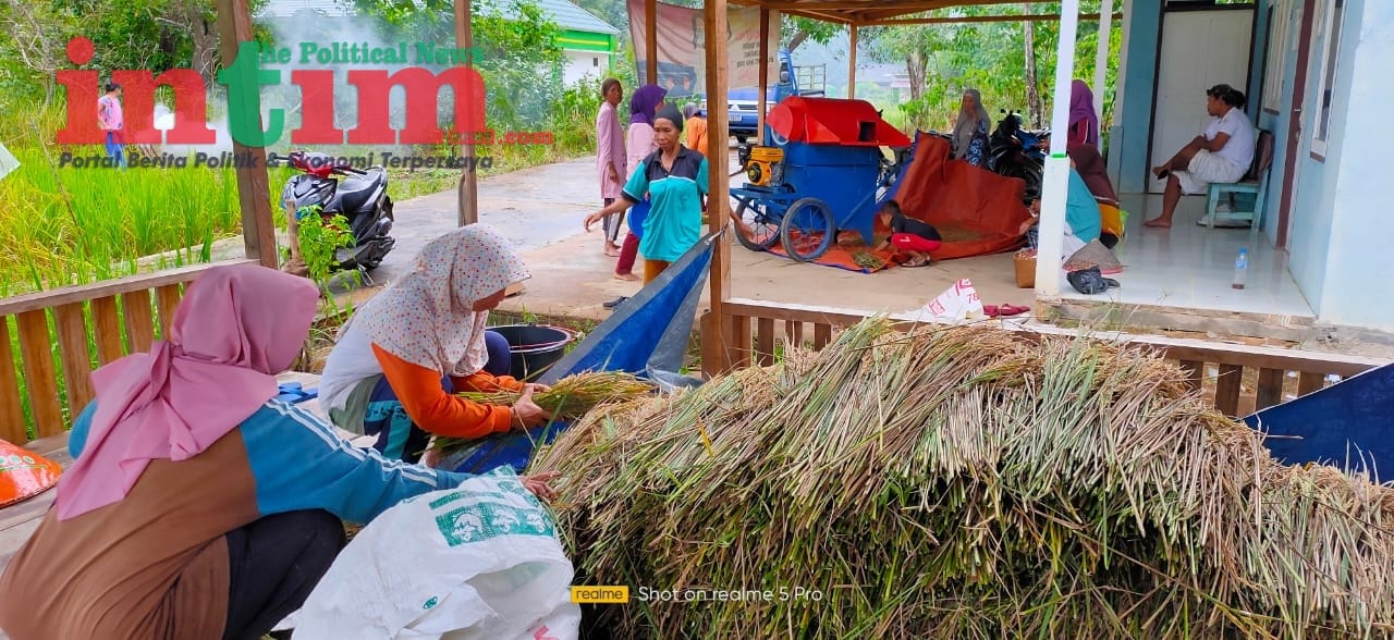 Kisah Kelompok Perempuan Melawi Garap Pertanian Organik