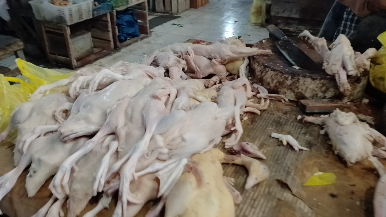 Meningkatnya Harga Daging Ayam Broiler di Kobar, Berikut Pantauan Pasar dan Respon Konsumen