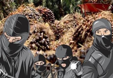 Polisi Amankan 13 Terduga Pencurian Buah Kelapa Sawit, 10 Orang Ditetapkan Tersangka dan 5 Positif Narkoba