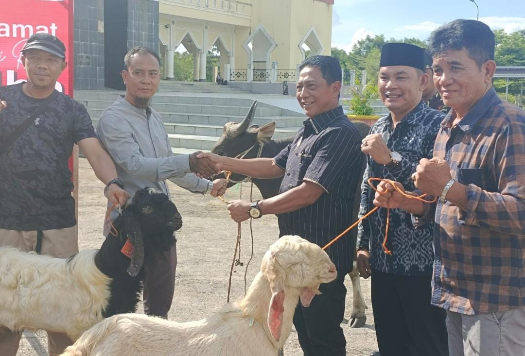 Anggota DRPD Ini Sumbang Satu Ekor Hewan Kurban di Masjid Agung Al-Istiqlal Puruk Cahu