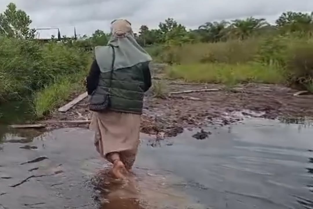 Perjuangan Pantarlih di Kelurahan Baru: Menembus Genangan Air dan Semak Belukar demi Pemutakhiran Data Pemilih