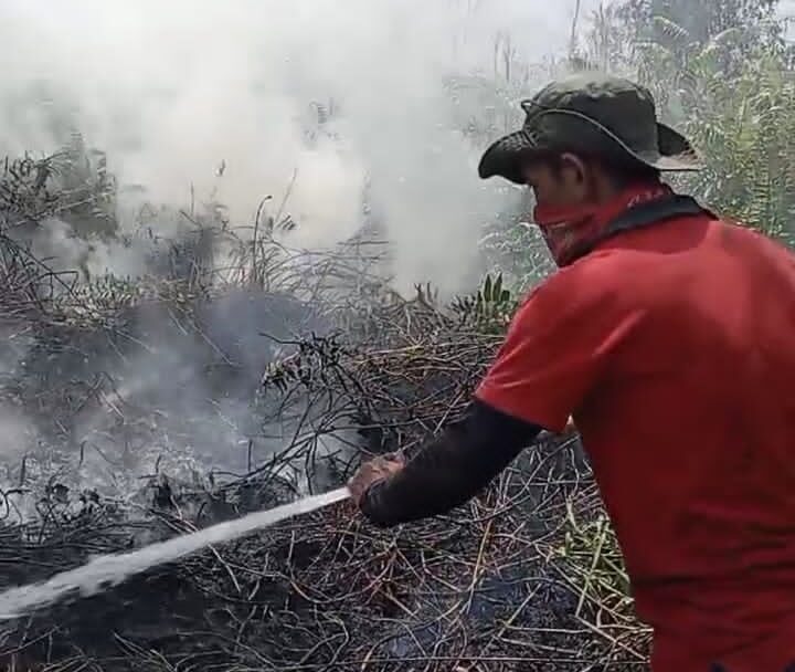 Lahan Tujuh Hektar di Desa Kubu Terbakar, BPBD Kobar dan MPA Berjuang Padamkan Api