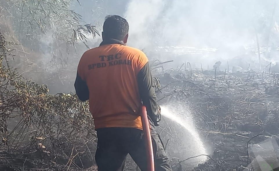 Sehari, BPBD Kobar Padamkan Tiga Karhutla: Aksi Cepat di Tengah Tantangan