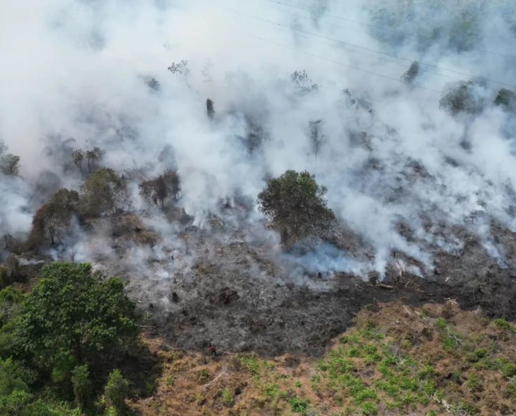 Karhutla di Desa Sungai Paring, Dua Hektar Lahan Terbakar