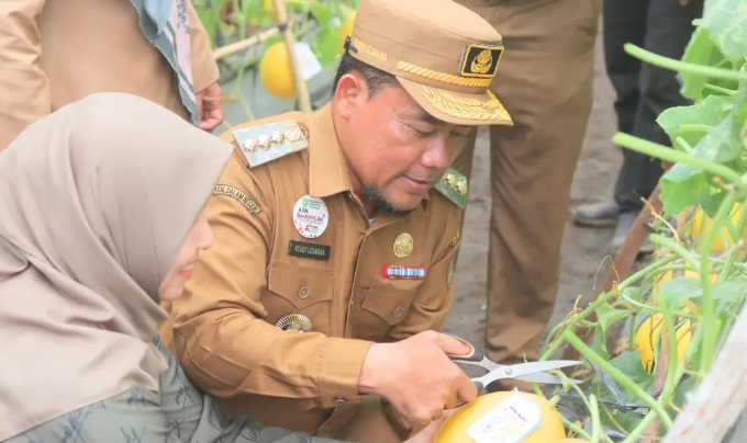 Pj Bupati Panen Melon di Lokasi Agro Edukasi Taman Permata Sukma