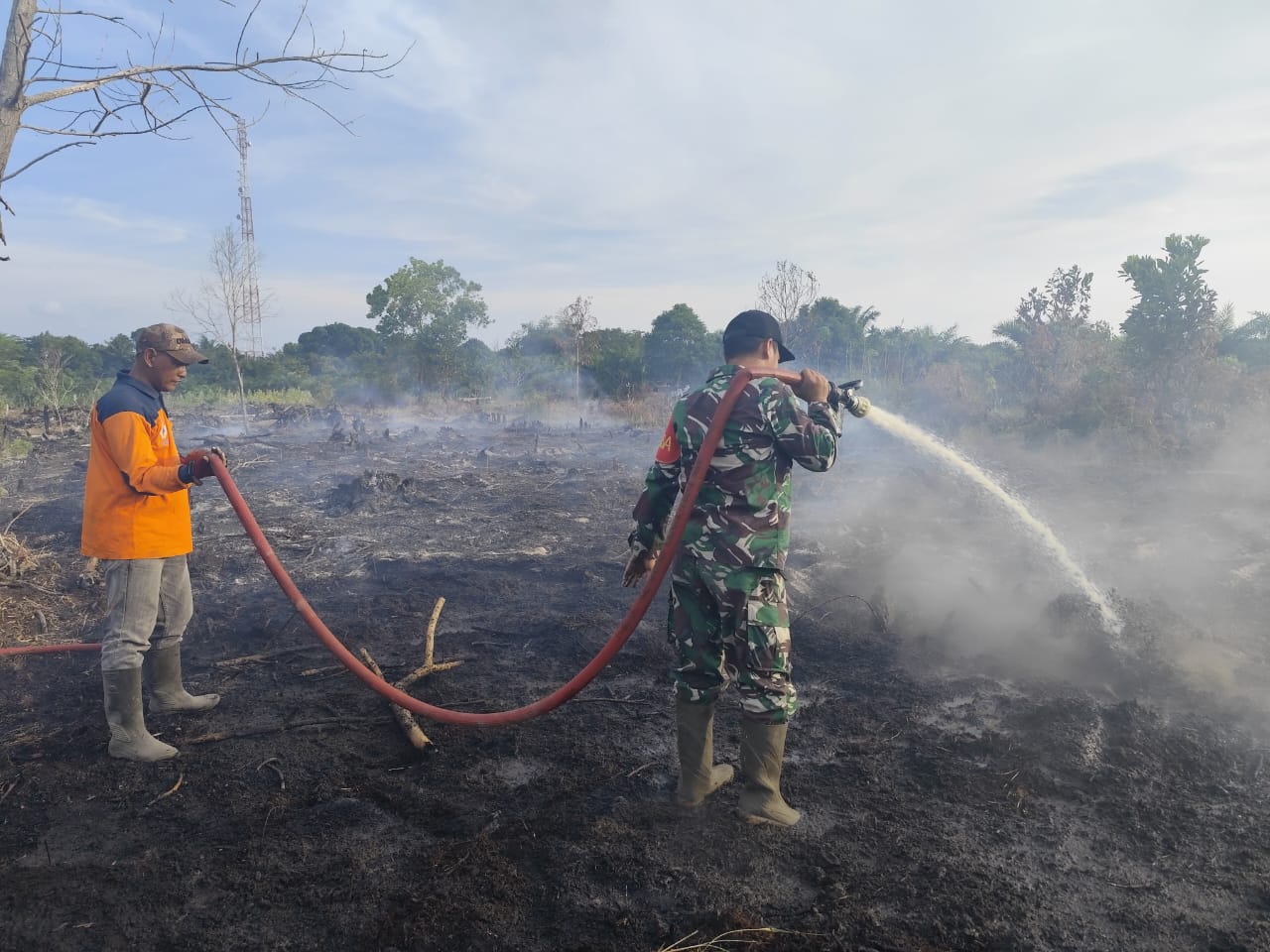 Babinsa Bersama Tim Karhutla Kobar Berjibaku Padamkan Kebakaran Lahan Gambut di Desa Kubu