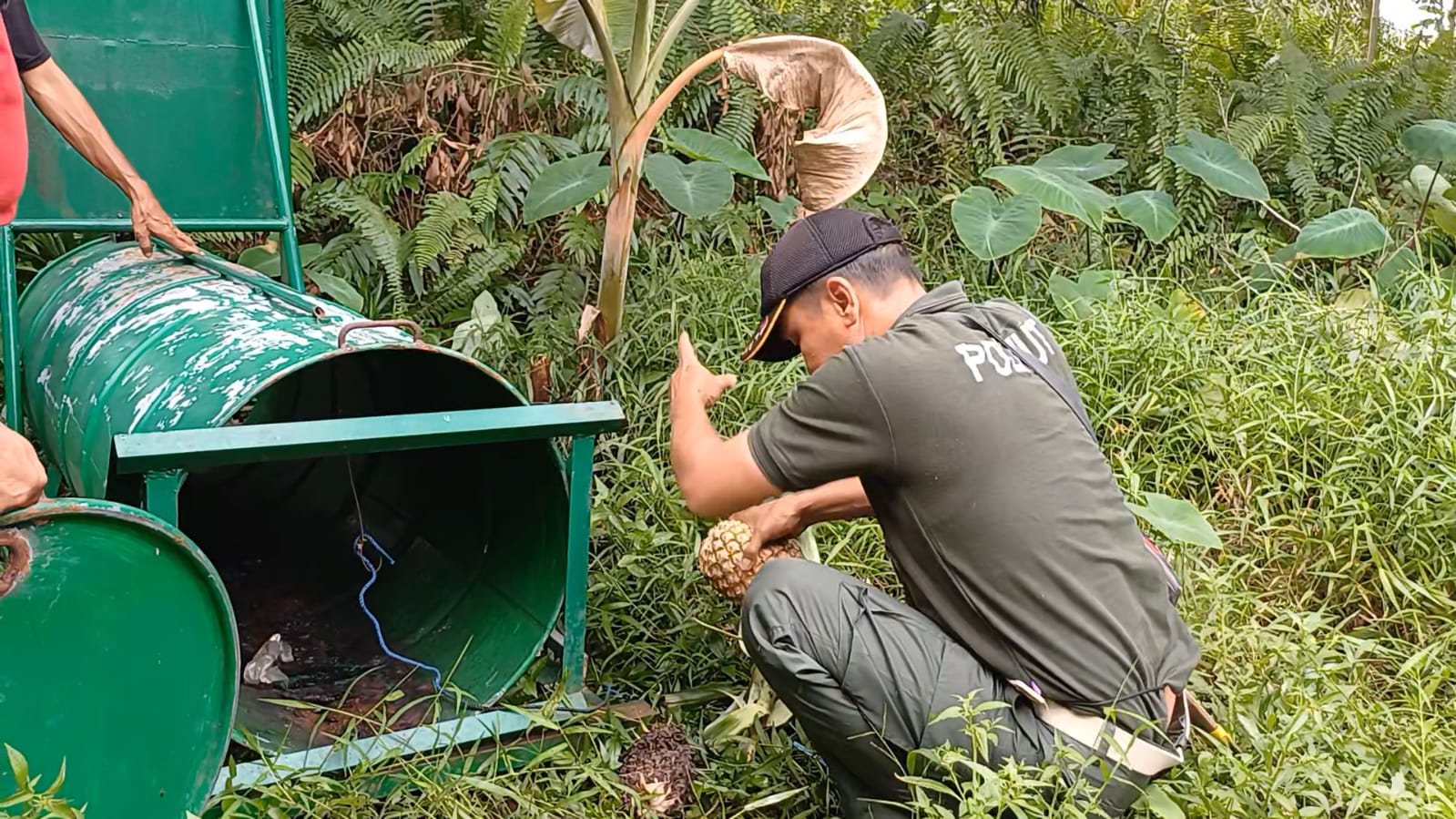 Diduga Kuat Beruang Peliharaan Warga Serang Ternak di Sampit
