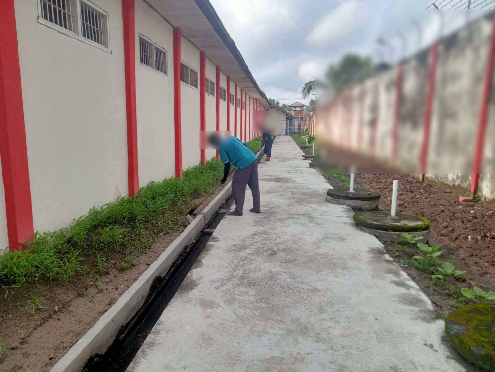 Jaga Lingkungan dan Kualitas Tanaman, Lapas Sampit Libatkan WBP dalam Perawatan Kebun