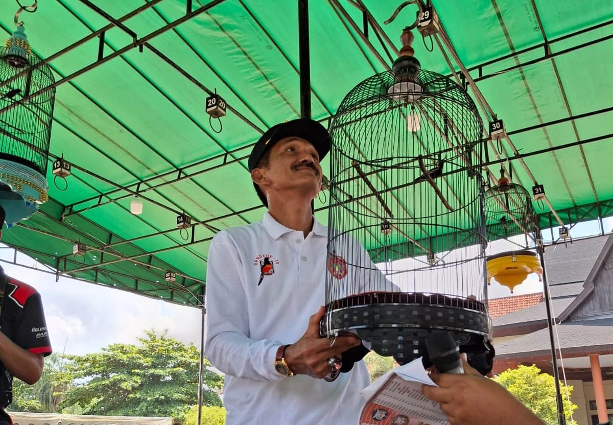 Turnamen Burung Berkicau DPRD Cup Ke-4: Ajang Silaturahmi dan Pelestarian, Peserta dari Berbagai Daerah Antusias Hadir di Kobar
