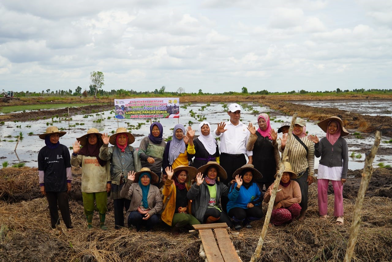 Optimalisasi lahan food estate jadi fokus Pemerintah Provinsi Kalimantan Tengah