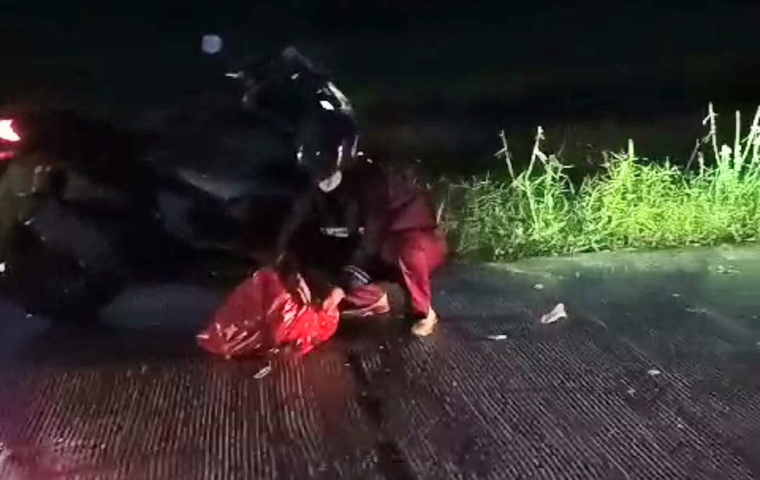 Kecelakaan Pengendara dan Sapi di Raja Seberang, Warga Minta Aturan Tegas