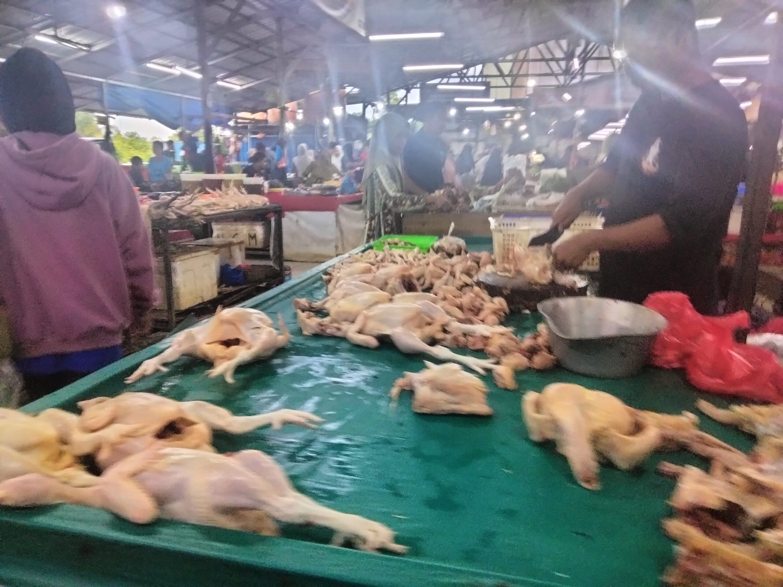 Daging Ayam Ras Penyumbang Inflasi di Kotim Tahun 2024   