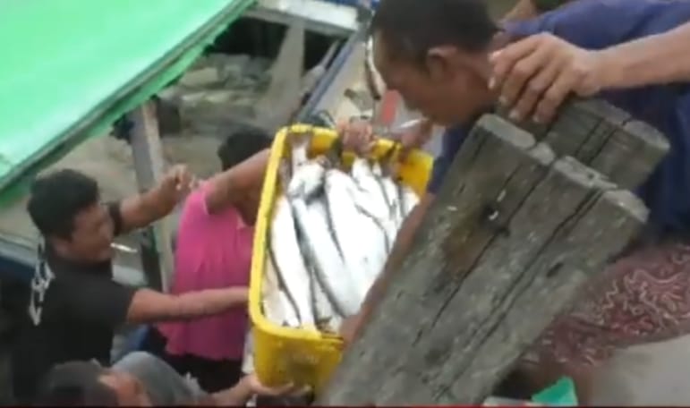 Musim Pancaroba Jelang Ramadan, Nelayan Teluk Kumai Panen Berkah