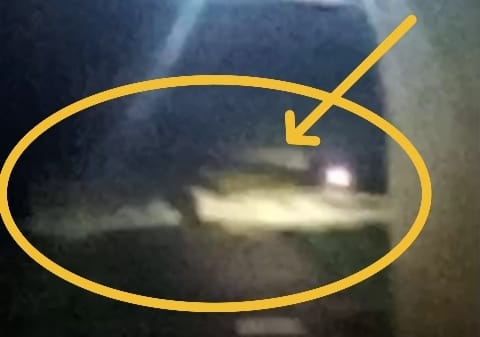 Warga Karang Anyar Dikejutkan Kemunculan Buaya di Keramba, Pemancing Diminta Waspada!