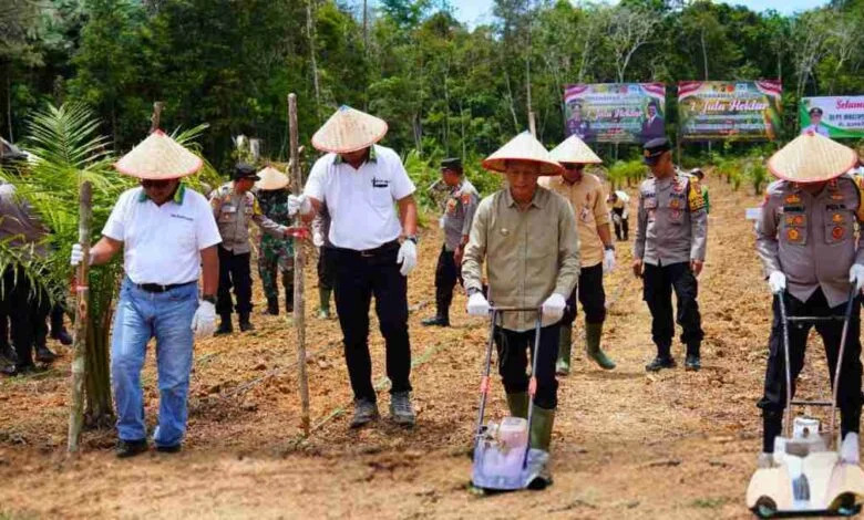 Pj Bupati Barut Dorong Ketahanan Pangan Lewat Penanaman Jagung