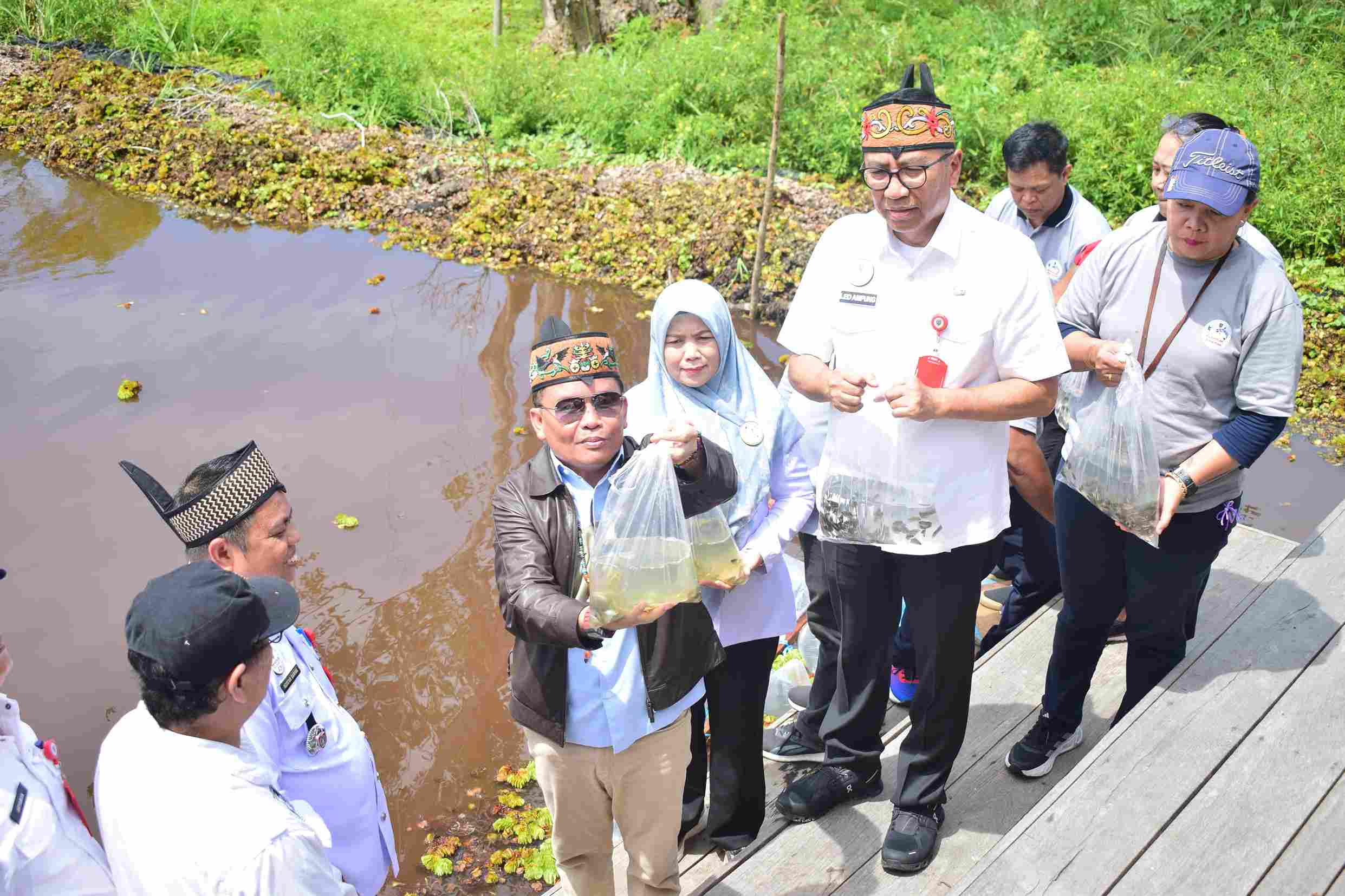 Gubernur Kalteng Tebar 125 Ribu Benih Ikan Betok di Danau Tahai