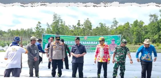Bupati Katingan Galakkan Gerakan Tanam Cabai untuk Tekan Inflasi