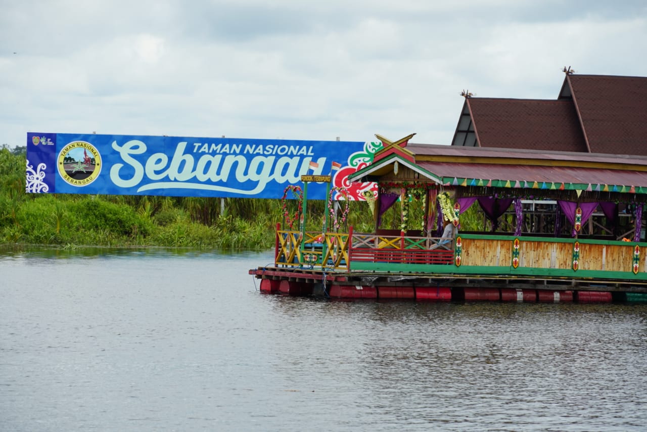 Pesona Tersembunyi di Balik Pekatnya Air Hitam Sungai Sebangau