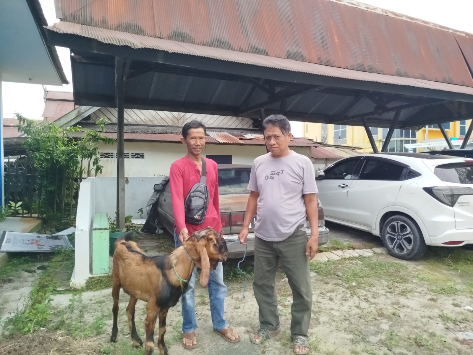 Tingkatkan Kepedulian Sosial, PWI Kobar Salurkan Hewan Kurban untuk Warga Sekitar Kantor