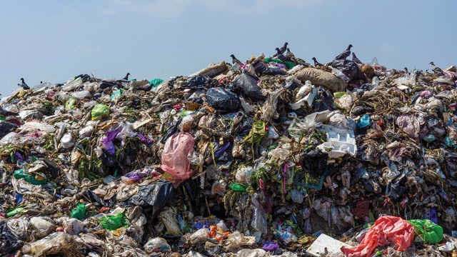 sampah