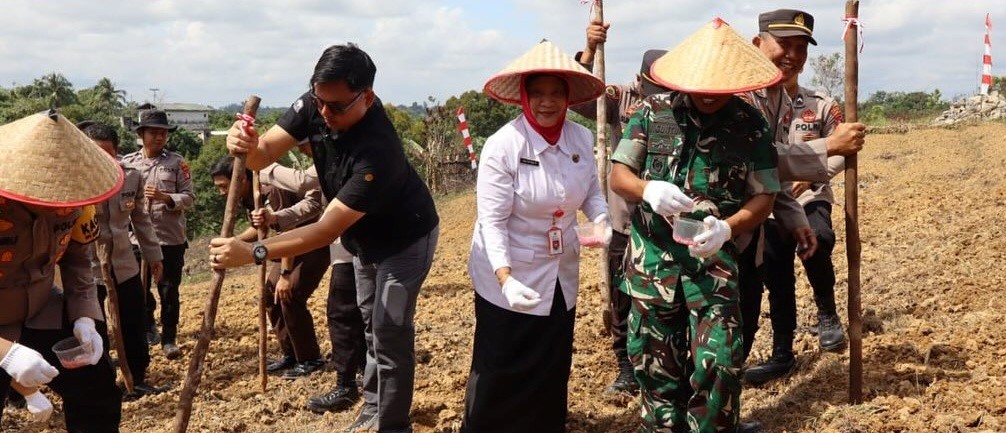 Pemkab Barito Utara Dorong Sinergi Lintas Sektor Lewat Program Tanam Jagung Serentak