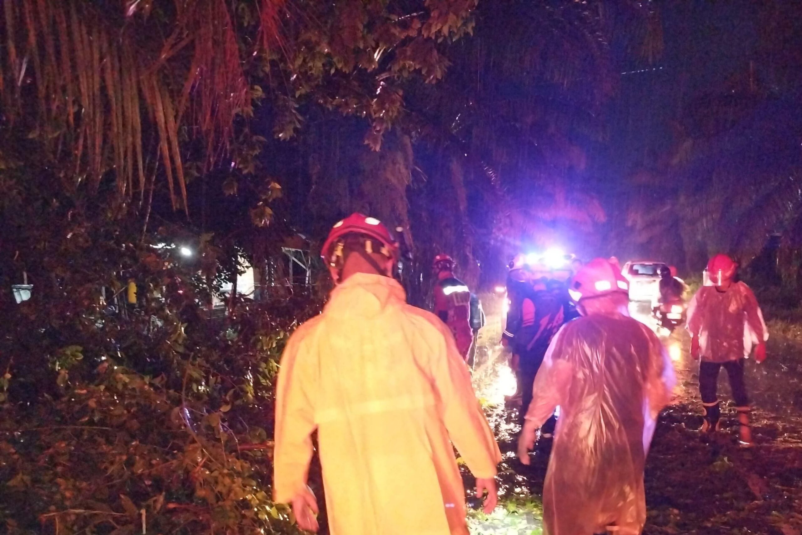 Cuaca Ekstrem Hantam Sampit, BPBD Evakuasi Pohon Tumbang