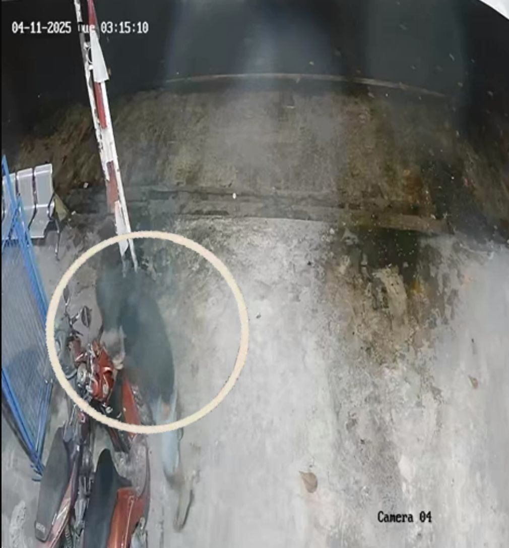 whatsapp image 2025 11 04 at 13.49.15