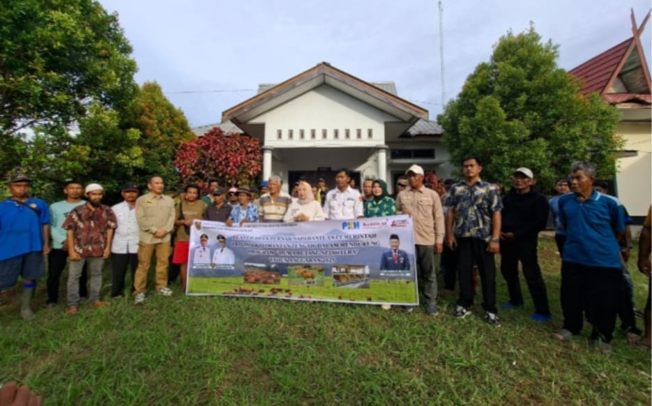 whatsapp image 2025 11 13 at 19.46.04