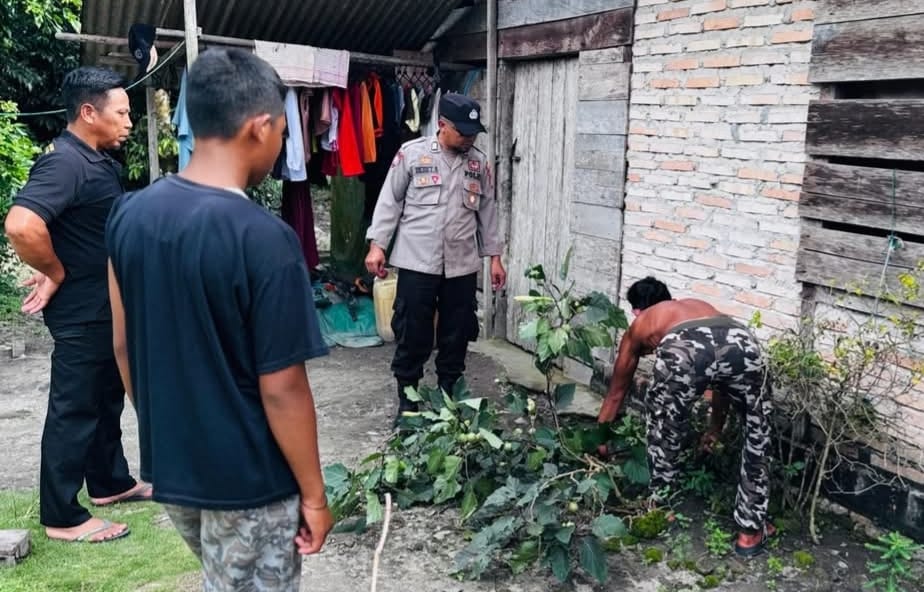 whatsapp image 2025 11 14 at 16.09.33