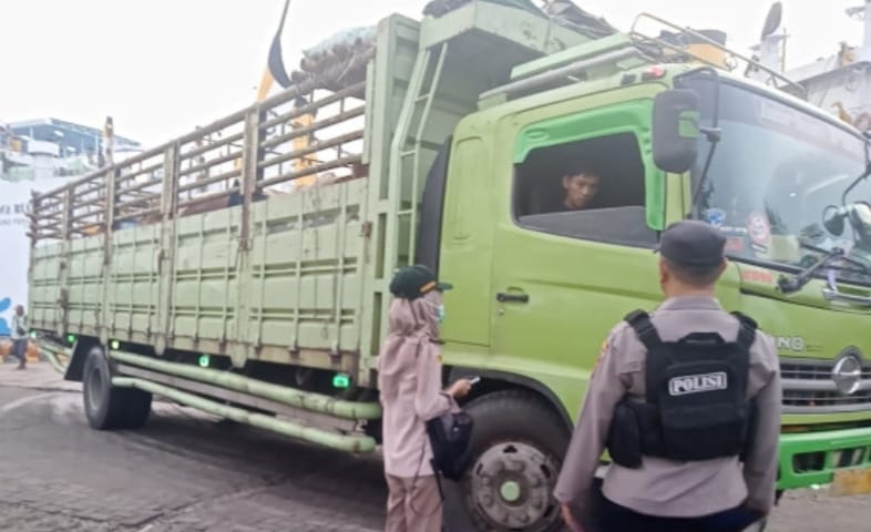 whatsapp image 2025 11 14 at 17.08.17