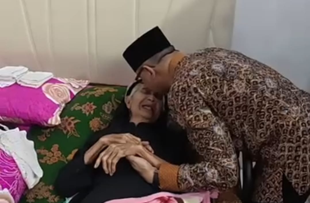 whatsapp image 2025 11 15 at 15.38.54