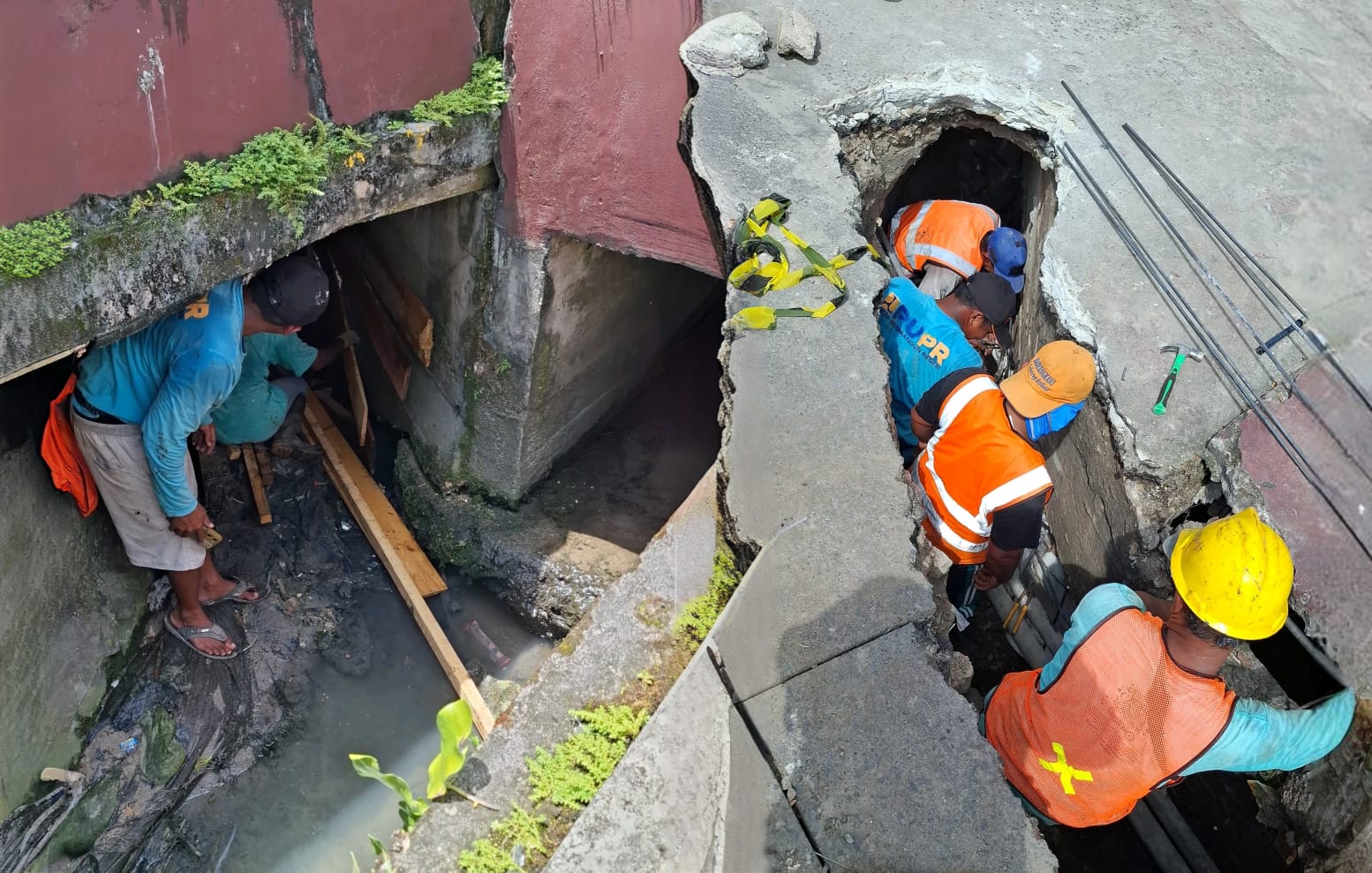 whatsapp image 2025 11 18 at 13.54.57