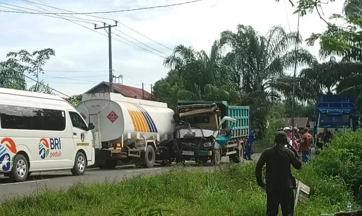 whatsapp image 2025 11 19 at 18.14.28