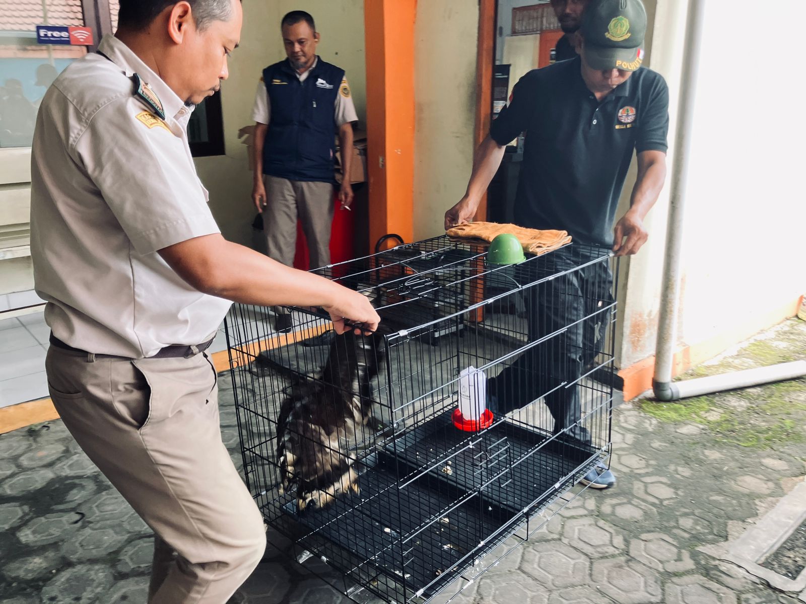 whatsapp image 2025 11 19 at 19.40.45