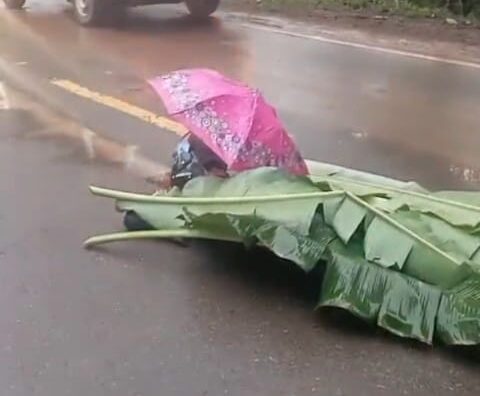 whatsapp image 2025 11 20 at 10.00.18