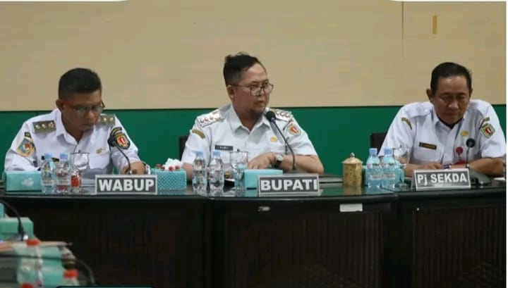 whatsapp image 2025 11 20 at 11.41.26