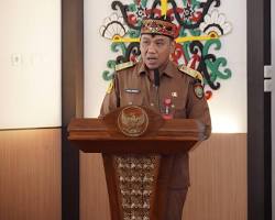 95.000 Bibit Kakao Lulus Sertifikasi, Siap Ditanam di Murung Raya