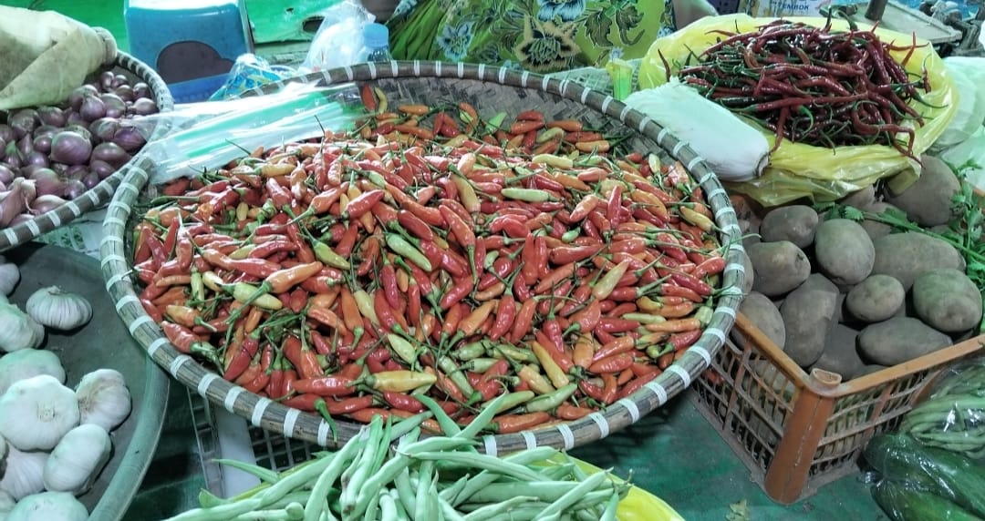 whatsapp image 2025 12 04 at 14.01.47